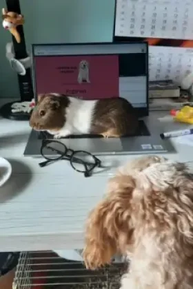 batch_Screenshot_20260224_152616_Instagram 2