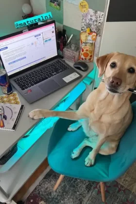 batch_Screenshot_20260224_153132_Instagram 2