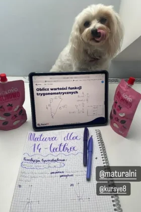 batch_Screenshot_20260224_153222_Instagram 2