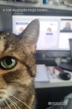 batch_Screenshot_20260224_153307_Instagram 2