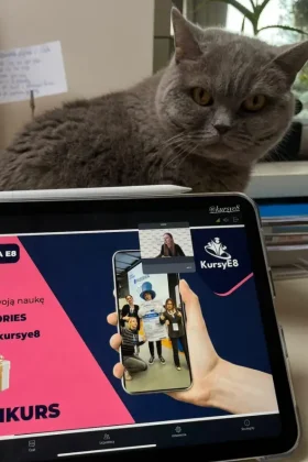 batch_Screenshot_20260224_153311_Instagram 2